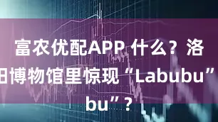 富农优配APP 什么？洛阳博物馆里惊现“Labubu”?