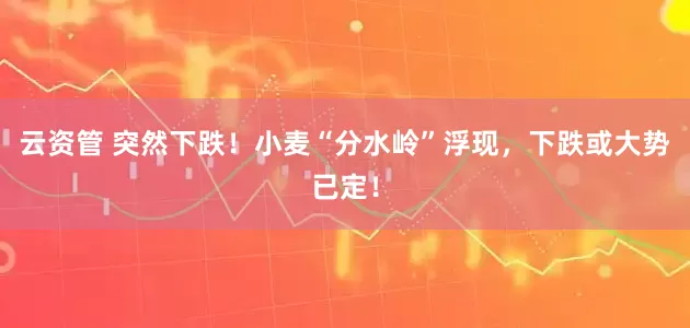 云资管 突然下跌！小麦“分水岭”浮现，下跌或大势已定！