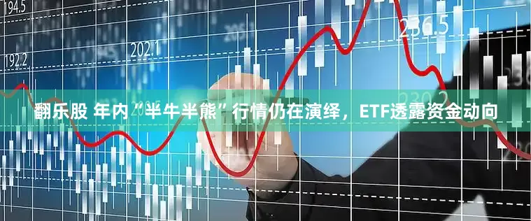 翻乐股 年内“半牛半熊”行情仍在演绎，ETF透露资金动向